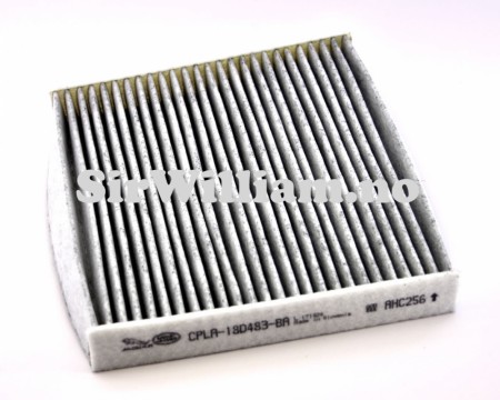 Pollenfilter