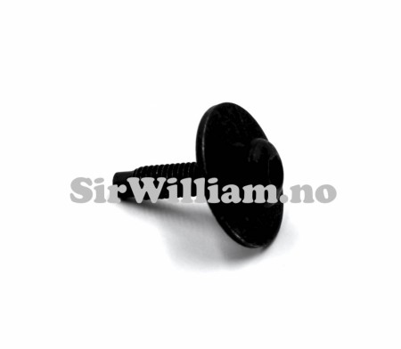 Skrue, med skive, M6x22mm, Torx